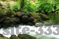足球即时比分女足-足球即时比分，聚焦女足，见证绿茵场上的巾帼传奇